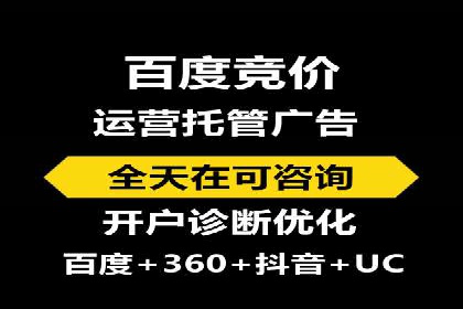 某行业巨头背后的SEM代运营服务公司
